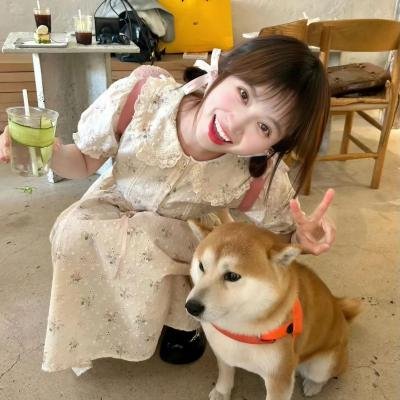 宝贝当家